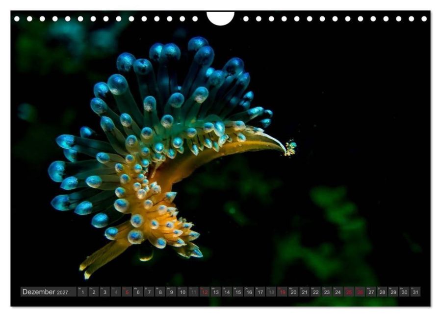 InsideView 4