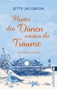 Cover-Bild zum Titel 'Hinter den Dünen warten die Träume' von 'Jette Jacobson'