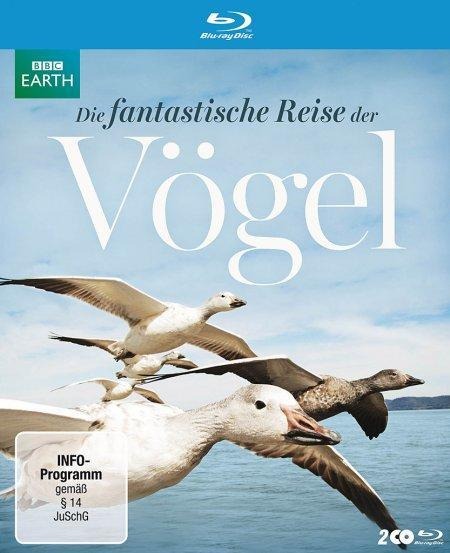 Die fantastische Reise der Vögel - Will Gregory
