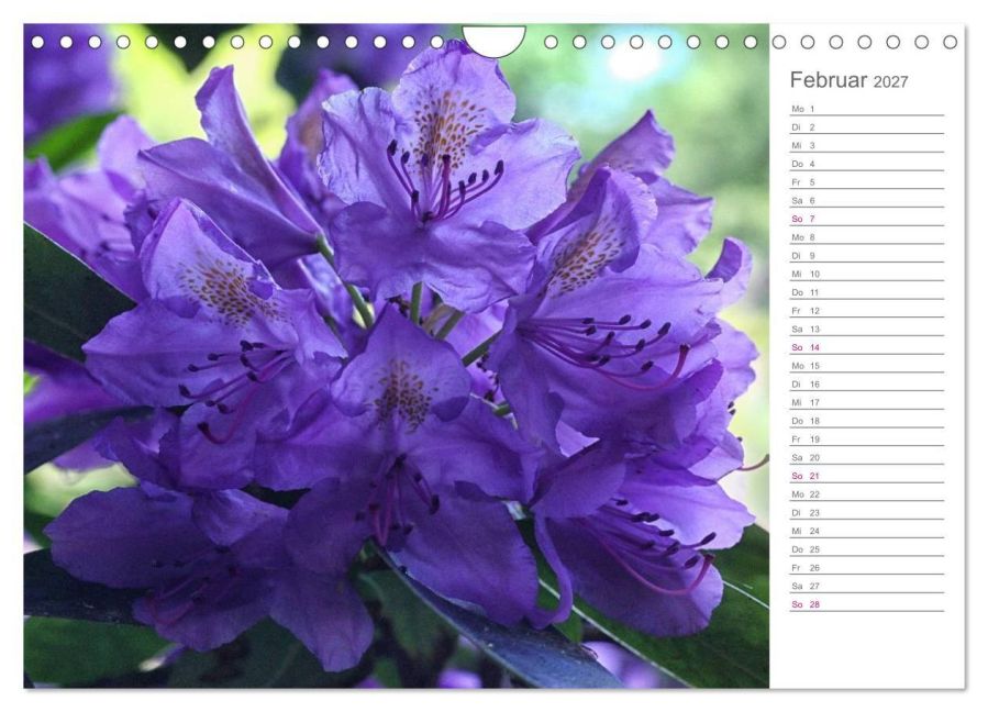 InsideView 7