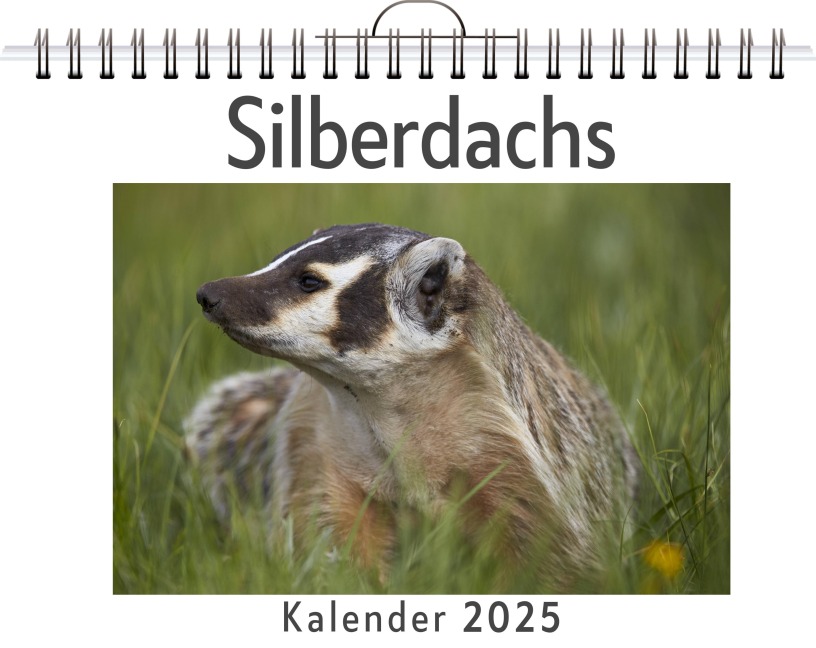 Silberdachs - Sarah Lange