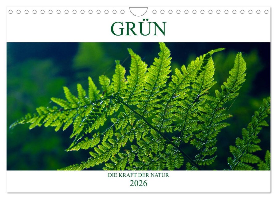 GRÜN . Die Kraft der Natur (Wandkalender 2026 DIN A4 quer), CALVENDO Monatskalender - Susan Michel CH