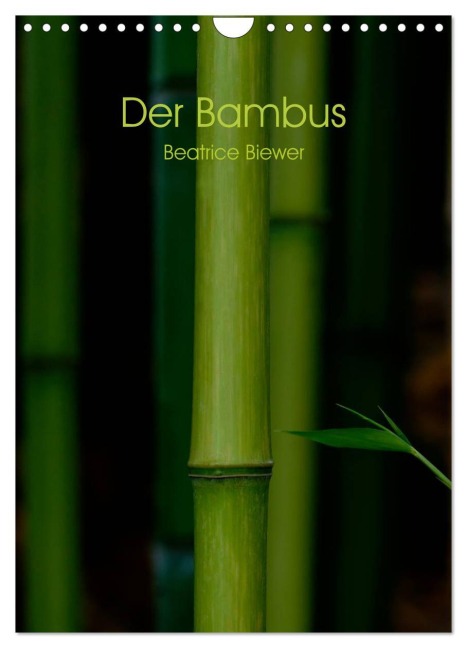 Der Bambus (Wandkalender 2026 DIN A4 hoch), CALVENDO Monatskalender - Beatrice Biewer