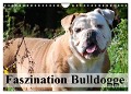 Faszination Bulldogge (Wandkalender 2024 DIN A4 quer), CALVENDO Monatskalender - Elisabeth Stanzer