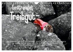Cover-Bild zum Titel 'Gestrandet -Treibgut- (Wandkalender 2026 DIN A4 quer), CALVENDO Monatskalender' von 'Ralf Mock'