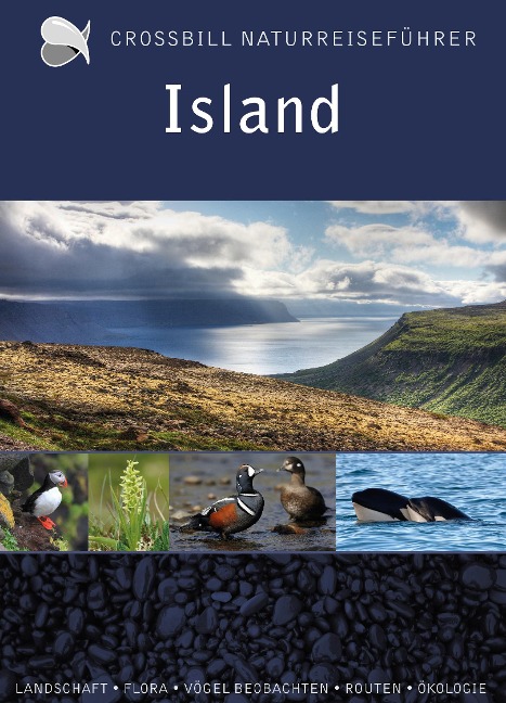 Island - Dirk Hilbers