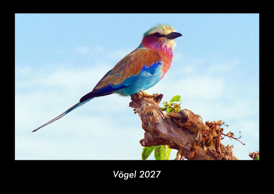 Vögel 2027 Fotokalender DIN A3 - Tobias Schmitt, Kevin Heber