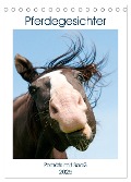 Pferdegesichter - Porträts mit Spaß (Tischkalender 2025 DIN A5 hoch), CALVENDO Monatskalender - Meike Bölts