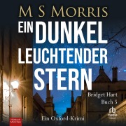 Cover-Bild zum Titel 'Ein dunkel leuchtender Stern' von 'M S Morris'