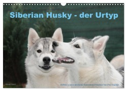 Cover-Bild zum Titel 'Siberian Husky - der Urtyp (Wandkalender 2026 DIN A3 quer), CALVENDO Monatskalender' von 'Michael Ebardt'