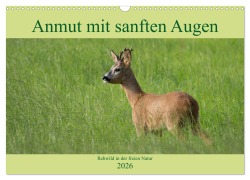 Anmut mit sanften Augen - Rehwild in der freien Natur (Wandkalender 2026 DIN A3 quer), CALVENDO Monatskalender - Sabine Grahneis