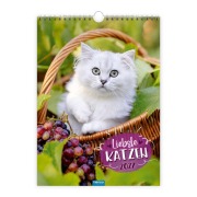 Cover-Bild zum Titel 'TRÖTSCH - Classickalender Liebste Katzen 2027' von ''