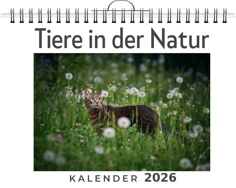 Tiere in der Natur - Lucas Huber Tiere in der Natur - Lucas Huber