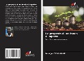 Cover-Bild zum Titel 'La proposta di un fondo d'impatto' von 'Damigou Tchakpame'