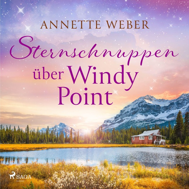 Sternschnuppen über Windy Point - Annette Weber