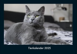Cover-Bild zum Titel 'Tierkalender 2025 Fotokalender DIN A4' von 'Tobias Becker'