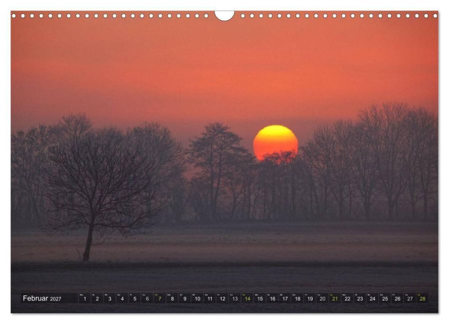 InsideView 7