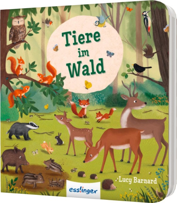 Mein erstes Natur-Wimmelbuch: Tiere im Wald - Mini-Ausgabe - Sibylle Schumann