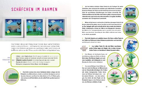 InsideView 2