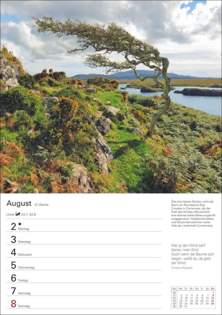 InsideView 12