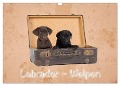Labrador - Welpen (Wandkalender 2024 DIN A3 quer), CALVENDO Monatskalender - Heiko Eschrich -Heschfoto