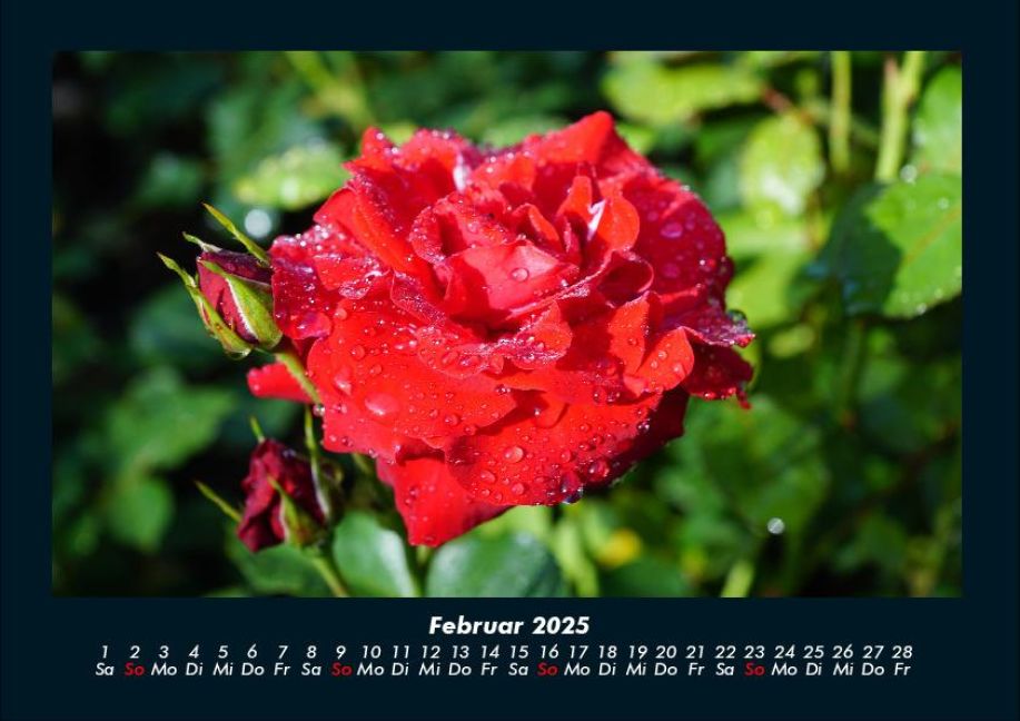 InsideView 6