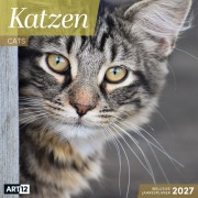 Cover-Bild zum Titel 'Katzen Kalender 2027 - 30x30 - Art12' von 'Ackermann Kunstverlag GmbH'