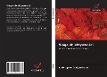 Cover-Bild zum Titel 'Waga obiektywno¿ci' von 'Christopher Craig Brittain'