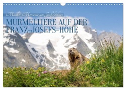 Cover-Bild zum Titel 'Mankei Momente am Großglockner- Murmeltiere auf der Franz-Josefs-Höhe (Wandkalender 2027 DIN A3 quer), CALVENDO Monatskalender' von 'Angela Merk'