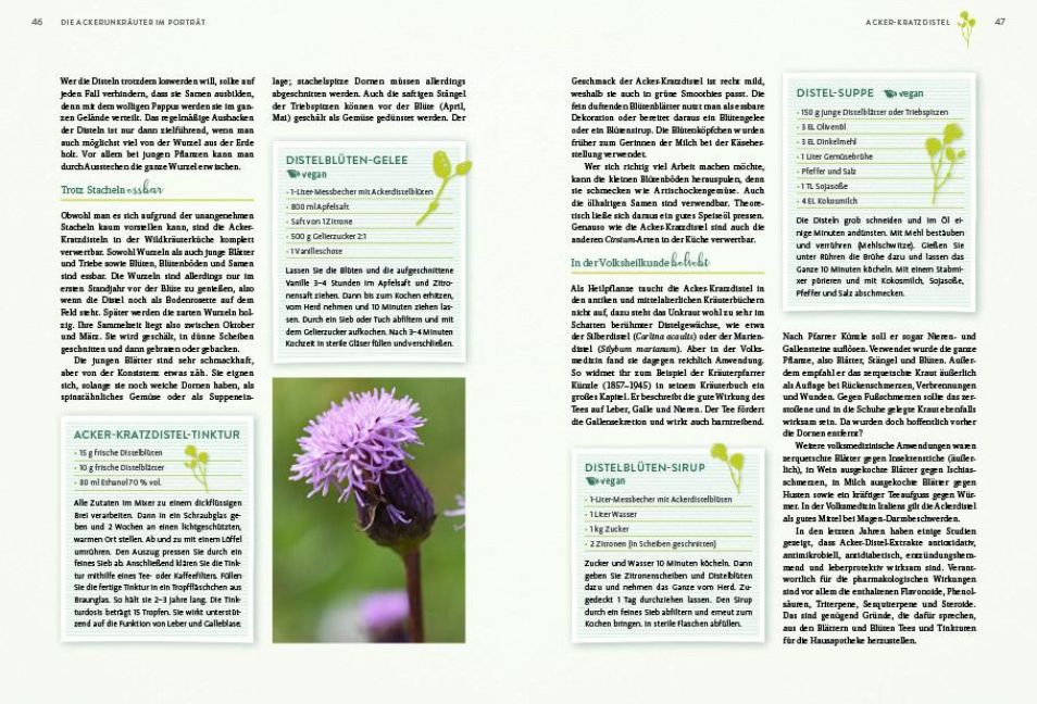 InsideView 6