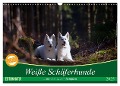 Weiße Schäferhunde in schönen Landschaften (Wandkalender 2025 DIN A3 quer), CALVENDO Monatskalender - Martina Schikore