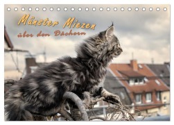 Cover-Bild zum Titel 'Münster Miezen - über den Dächern (Tischkalender 2026 DIN A5 quer), CALVENDO Monatskalender' von 'Viktor Gross'