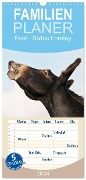 Familienplaner 2024 - Esel - Sixtus Loreley mit 5 Spalten (Wandkalender, 21 x 45 cm) CALVENDO - Meike Bölts