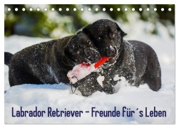 Labrador Retriever - Freunde für¿s Leben (Tischkalender 2025 DIN A5 quer), CALVENDO Monatskalender - Sigrid Starick