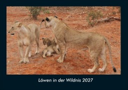 Cover-Bild zum Titel 'Löwen in der Wildnis 2027 Fotokalender DIN A4' von 'Tobias Schmitt, Kevin Heber'