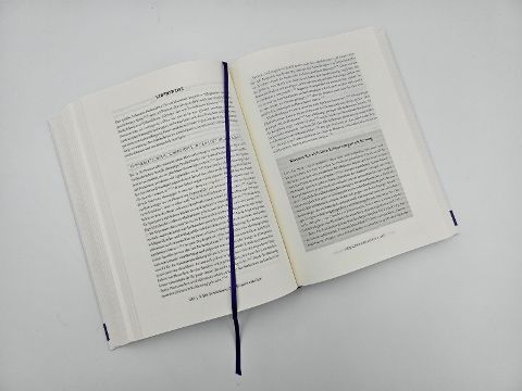 InsideView 11