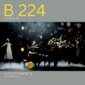 Cover-Bild zum Titel 'B 224' von 'Olaf Nollmeyer'