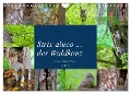 Strix aluco ... der Waldkauz (Wandkalender 2024 DIN A4 quer), CALVENDO Monatskalender - Andreas Freund