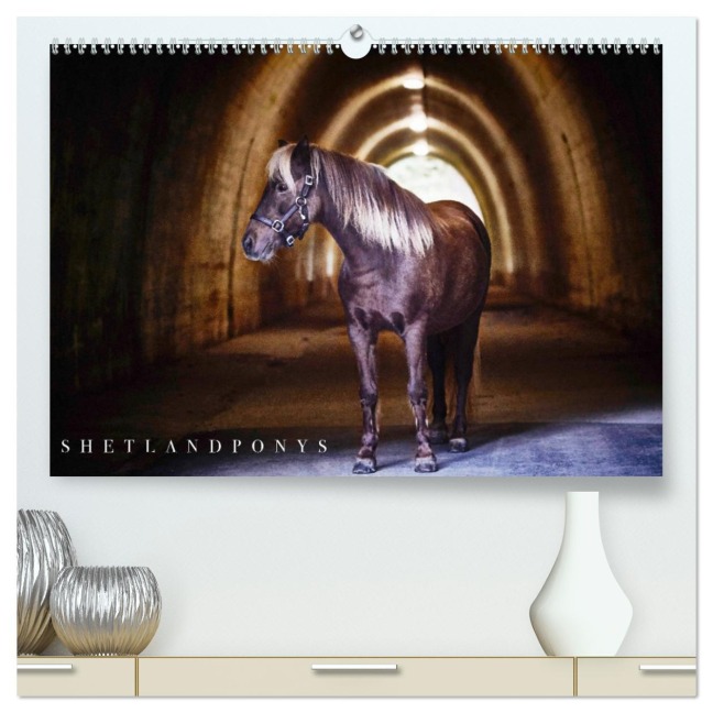 Shetlandpony Kalender (hochwertiger Premium Wandkalender 2026 DIN A2 quer), Kunstdruck in Hochglanz - Nina D. Fotografie