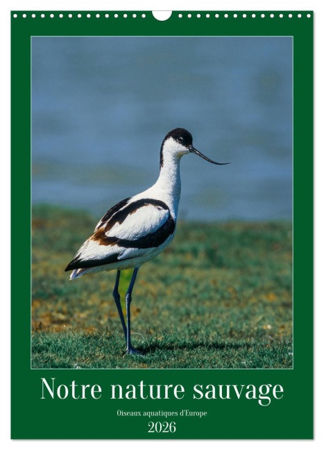 Notre nature sauvage, oiseaux aquatiques d'Europe (Calendrier mural 2026 DIN A3 horizontal), CALVENDO calendrier mensuel - (C) Alain Gaymard