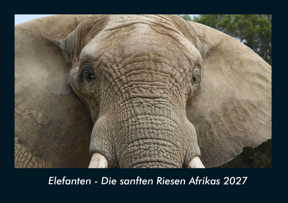 Elefanten - Die sanften Riesen Afrikas 2027 Fotokalender DIN A4 - Tobias Schmitt, Kevin Heber