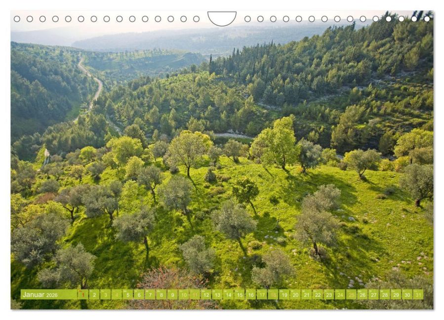 InsideView 6