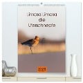 Limosa Limosa die Uferschnepfe (hochwertiger Premium Wandkalender 2025 DIN A2 hoch), Kunstdruck in Hochglanz - Tanja Riedel