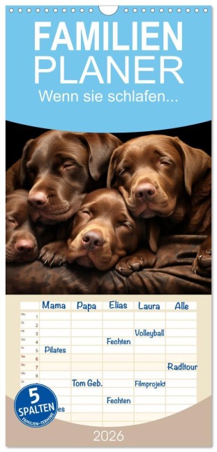 Familienplaner 2026 - Wenn sie schlafen... mit 5 Spalten (Wandkalender, 21 x 45 cm) CALVENDO - Daniela Tapper