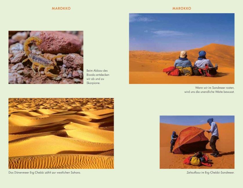 InsideView 13