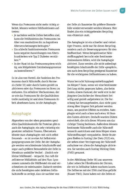 InsideView 13