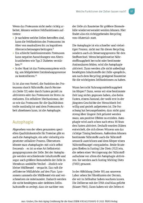 InsideView 13