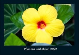 Pflanzen und Blüten 2022 Fotokalender DIN A4 - Tobias Becker