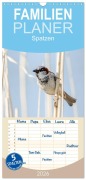 Cover-Bild zum Titel 'Familienplaner 2026 - Spatzen mit 5 Spalten (Wandkalender, 21 x 45 cm) CALVENDO' von 'Marianne Drews'