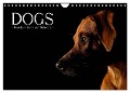 Dogs (Wandkalender 2024 DIN A4 quer), CALVENDO Monatskalender - Nicole Noack